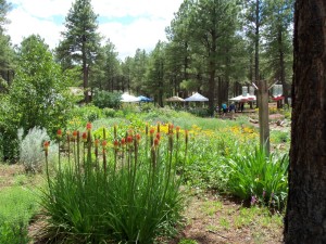 Arboretum at Flagstaff